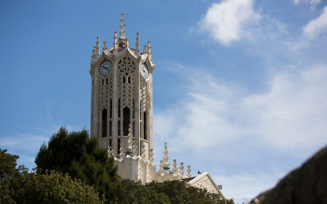 University of Auckland appoints Theresa Gattung chair for women
