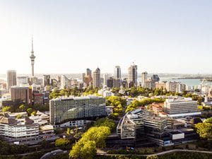 OGGB Auckland city view